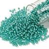 TOHO Round Seed Beads X-SEED-TR08-0954-1