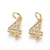 Brass Micro Pave Clear Cubic Zirconia Charms ZIRC-L092-04-G-1