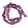 Dyed Natural Freshwater Shell Beads Strands SHEL-P016-01D-2