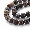 Natural Pietersite Beads Strands G-R446-10mm-13-3