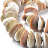 Natural Shell Beads Strands SSHEL-N034-101-3