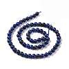 Natural Lapis Lazuli Beads Strands G-P348-01-6mm-2