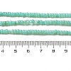 Natural Freshwater Shell Beads Strands SHEL-P017-01B-08-4