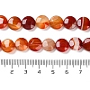 Natural Red Agate Beads Strands G-K357-B02-01-5