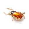 Beetle Enamel Pin JEWB-P012-10G-3