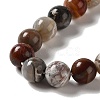 Natural Mexican Agate Beads Strands G-E578-02A-3