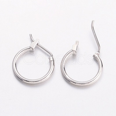 Brass Hoop Earrings X-EC261-NF-1