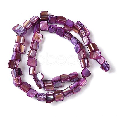 Dyed Natural Freshwater Shell Beads Strands SHEL-P016-01D-1