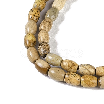 Natural Picture Jasper Beads Strands G-K362-I06-01-1