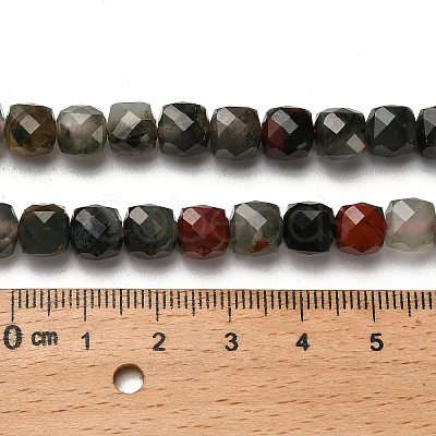 Natural African Bloodstone Beads Strands G-H078-C26-01-1