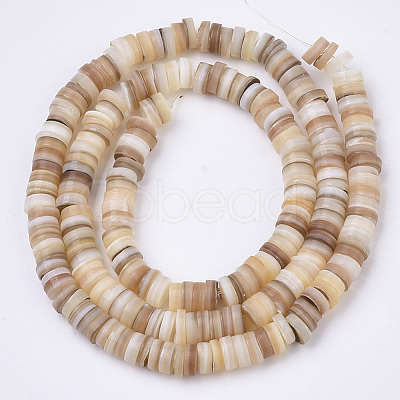 Natural Freshwater Shell Beads Strands X-SHEL-N003-02-1