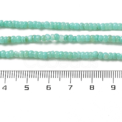 Natural Freshwater Shell Beads Strands SHEL-P017-01B-08-1