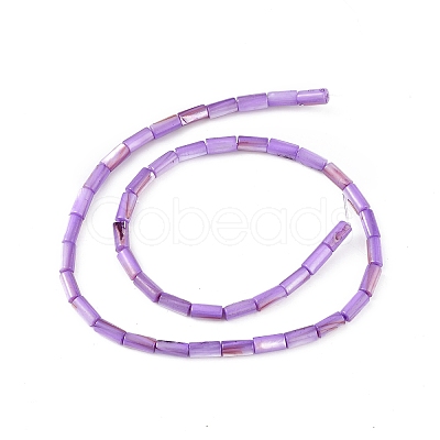 Natural Freshwater Shell Dyed Beads Strands SHEL-M018-11-08-1