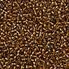 TOHO Round Seed Beads SEED-JPTR11-0278-2