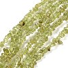 Natural Peridot Beads Strands G-P332-48-01-1