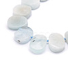 Natural Aquamarine Beads Strands G-E569-P03-3