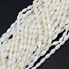 Dyed Natural Shell Beads Strands X-BSHE-E023-01C-1