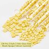 Nbeads 530Pcs 2 Style 2-Hole Glass Seed Beads SEED-NB0001-74-5