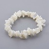 Natural Spiral Shell Beads Stretch Bracelets BJEW-JB03997-01-1