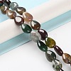Natural Indian Agate Beads Strands G-K357-A18-01-2
