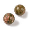 Natural Unakite No Hole Sphere Beads G-K353-04A-05-2