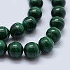 Natural Malachite Beads Strands G-F571-27AA2-6mm-3
