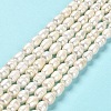 Natural Cultured Freshwater Pearl Beads Strands PEAR-E016-172-2