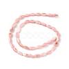 Natural Freshwater Shell Dyed Beads Strands SHEL-M018-13-07-2