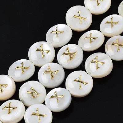 Natural Freshwater Shell Beads SHEL-S276-168X-1