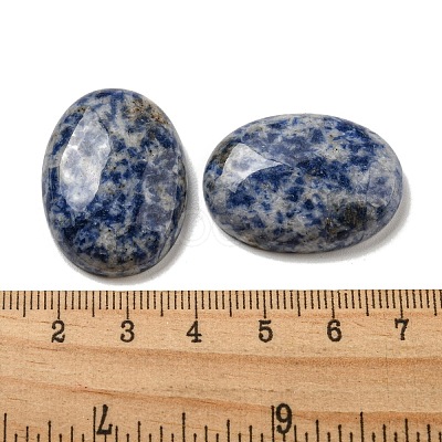 Natural Blue Spot Jasper Cabochons G-C115-01B-36-1