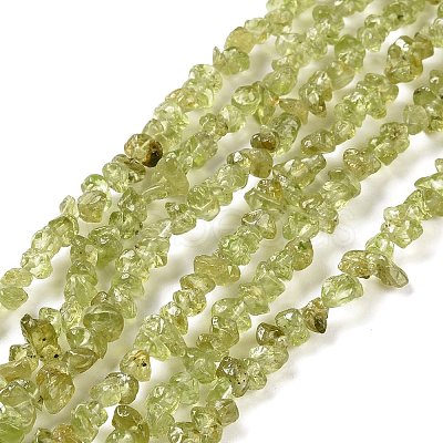 Natural Peridot Beads Strands G-P332-48-01-1