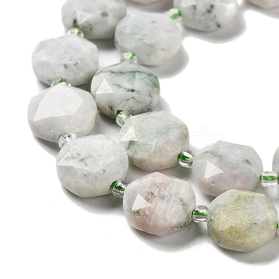 Natural Tree Agate Beads Strands G-NH0004-017-1