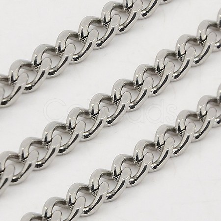 Tarnish Resistant 3.28 Feet 304 Stainless Steel Twisted Chains X-CHS-K001-20A-1