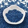 Baking Paint Glass Seed Beads X-SEED-S042-05B-75-2
