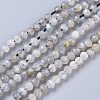 Natural Rainbow Moonstone Beads Strands G-R475-025A-1