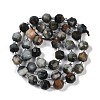 Natural Eagle Eye Stone Beads Strands G-O201B-124G-4