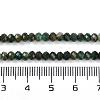 Natural Fuchsite Beads Strands G-G139-B13-01-5