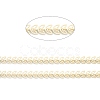 Golden Brass Enamel Cobs Chain CHC-H103-15A-G-3