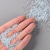 11/0 Grade A Round Glass Seed Beads SEED-N001-D-217-4