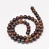 Natural Red Tiger Iron Round Bead Strands X-G-P075-22-10mm-2