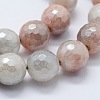 Electroplated Natural Imitation Sunstone Gemstone Beads Strands G-G749-06B-10mm-3