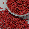 6/0 Glass Seed Beads SEED-J014-F6-45-1