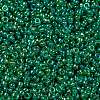 MIYUKI Round Rocailles Beads X-SEED-G009-RR0354-3