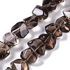 Natural Smoky Quartz Beads Strands G-B072-C01-02-2