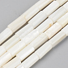 Natural Freshwater Shell Beads Strands X-SSHEL-R048-006B-1