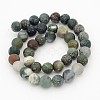 Frosted Round Natural Moss Agate Bead Strands G-J276-55-10mm-2