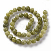 Natural Canada Jade Beads Strands G-S362-124E-2