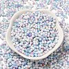 Baking Paint Glass Seed Beads SEED-F005-01A-14-2