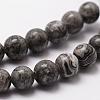 Natural Map Stone/Picasso Stone/Picasso Jasper Bead Strands G-D840-60-8mm-5