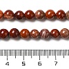 Natural Red Snakeskin Jasper Beads Strands G-H298-A02-02-5